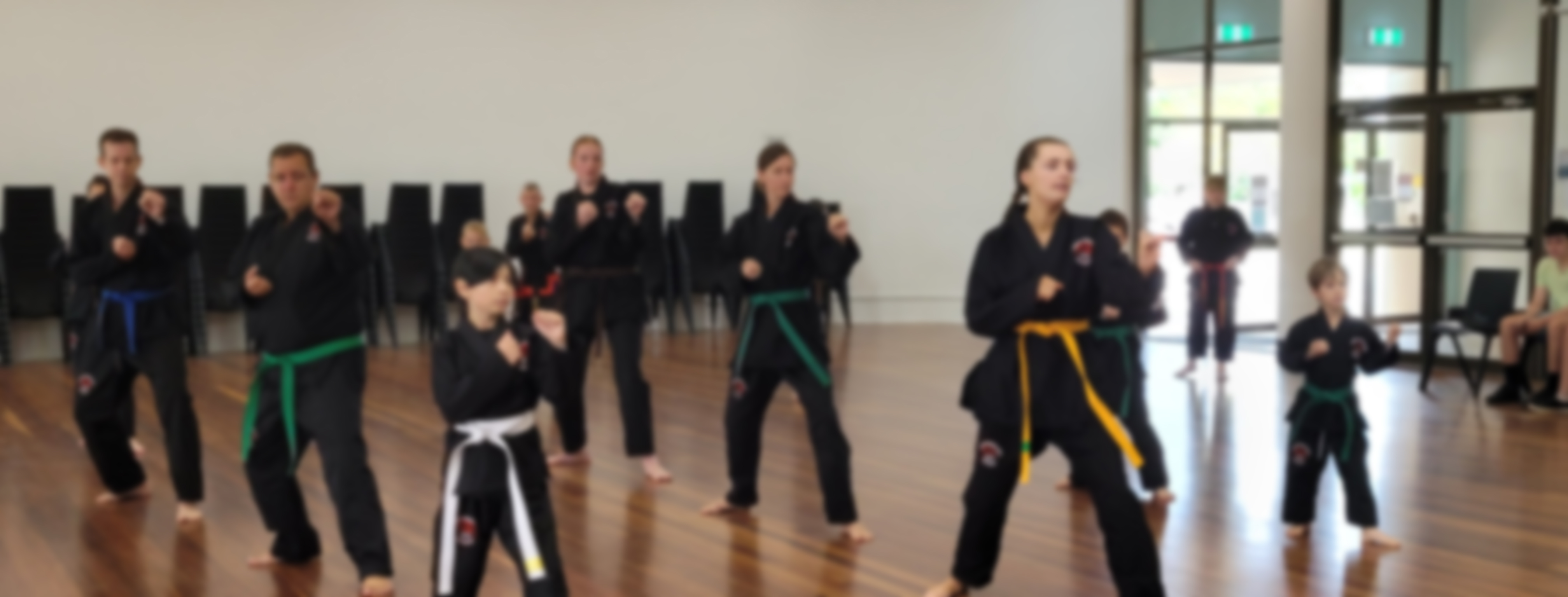 people practicing martial arts